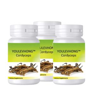 Quality Cordyceps Supplements Mushroom Extract Premium Helps To Balance And Optimize Immunity wholesale