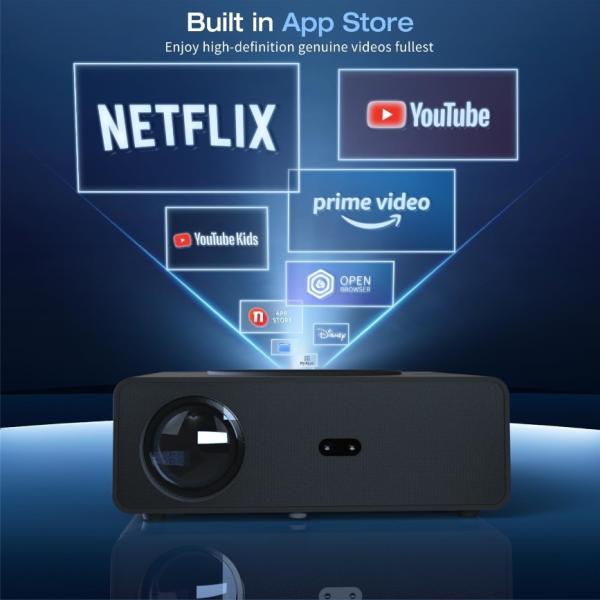 Projector audio system details