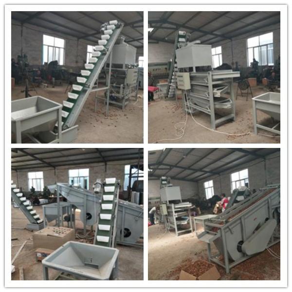 Cheap walnut processing line, walnut shelling machine, walnut cracker for sale