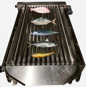 China Capacity 5-10T/H Fish Automatic Sorting Machine, Sizing Small Fish And Grading Ocean on sale