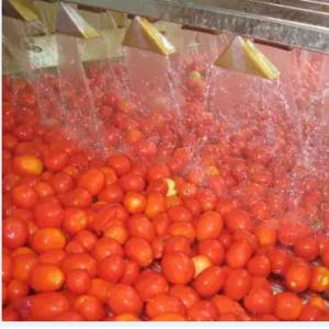 Automatic Tomato Paste Processing Line High Speed