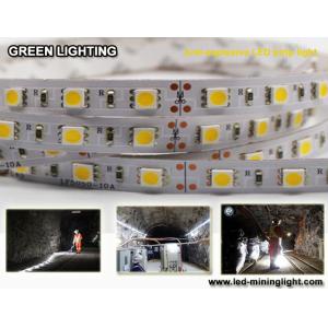 Anti explsoive 1500 lum Flexible LED Strip Waterproof 60pcs led each meter