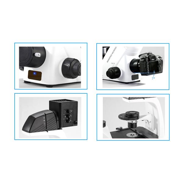Biology Compound Inverted Biological Microscope For Research Laboratories