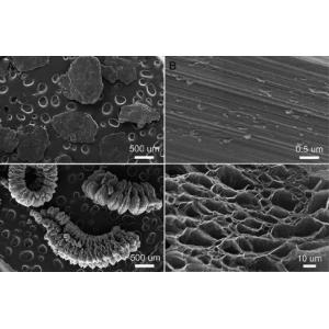 High Performance Expandable Graphite Powder For Thermal Conductivity
