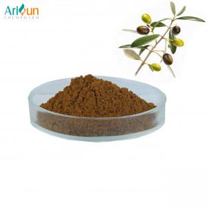 Quality Natural 20% Oleuropein Olive Leaf Extract Powder 80 Mesh wholesale
