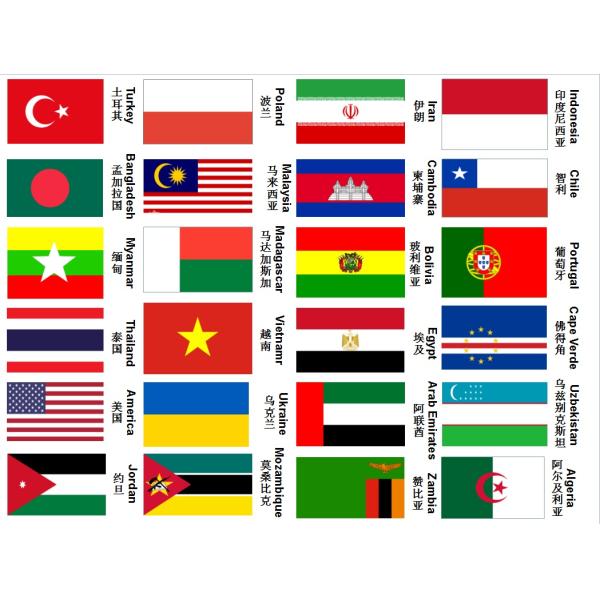 Mosquito Automatic Dosing System Washing Machine 40 Points Automatic Packing