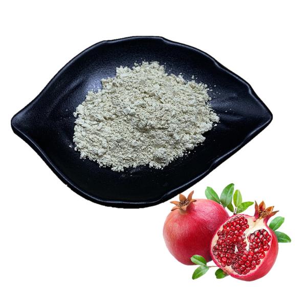 Cheap Safe 40% Pomegranate Extract Ellagic Acid Pomegranate Peel Extract Anti Oxidation for sale