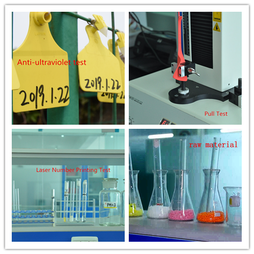 Customized Breed Population Anti Theft UHF Cattle Tags Cow Sheep Farm Tracking