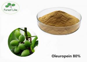 Quality Pure Health Powder Olive Leaf Extract Oleuropein 80% With Good Water Soluble wholesale