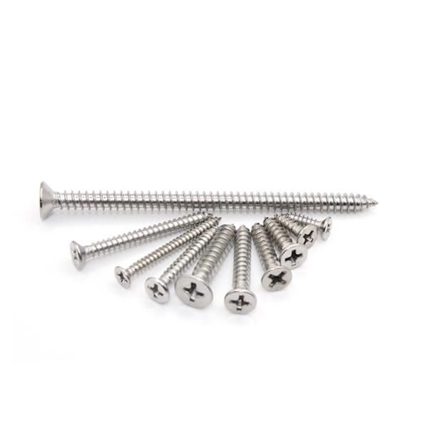 Metal Drilling Function Self-Tapping Screw Ss304 316 Stainless Steel Phillips Pan Head