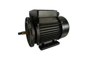 Quality High Efficiency 1.5HP Single Phase Induction Motor 2800RPM For Whirlpool Pump wholesale
