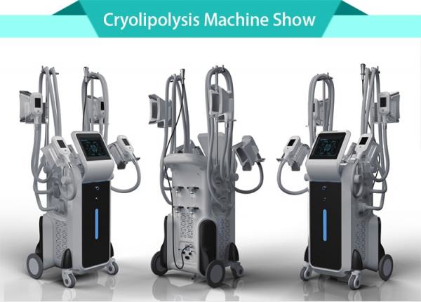 2018 newest -15oC 4 handles cryolipolysis body slimming machine 