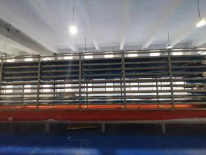 Quality PLC controlled Pizza production line With Pizza Base Proofing System for making various size pizza wholesale