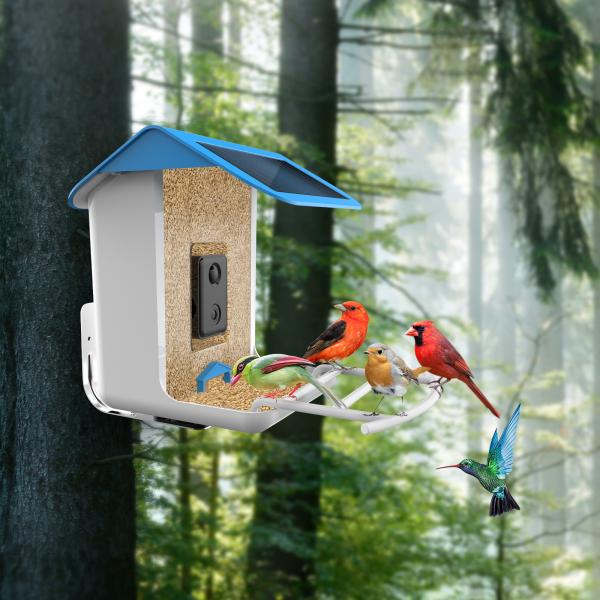 Solar Panel Waterproof Outdoor Smart Ai Bird Feeder With Camera App Control