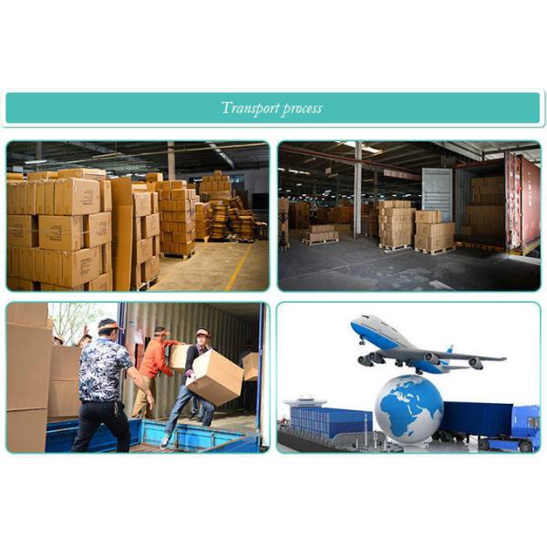 Leaflet Multiple Sheets Memo Clips Photo Holders Home Decorations OEM / ODM