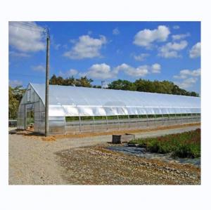 Quality Hot Dip Galvanized Steel Tube Frame Single Span Agricultural Greenhouse For Grow Tent wholesale
