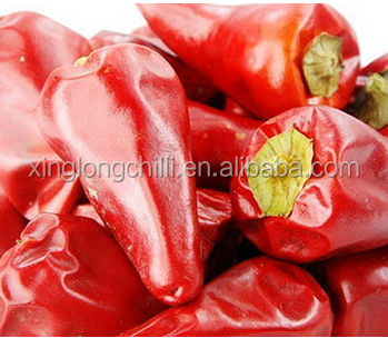 Factory price New Crop Fresh Red hot bullet Chilli