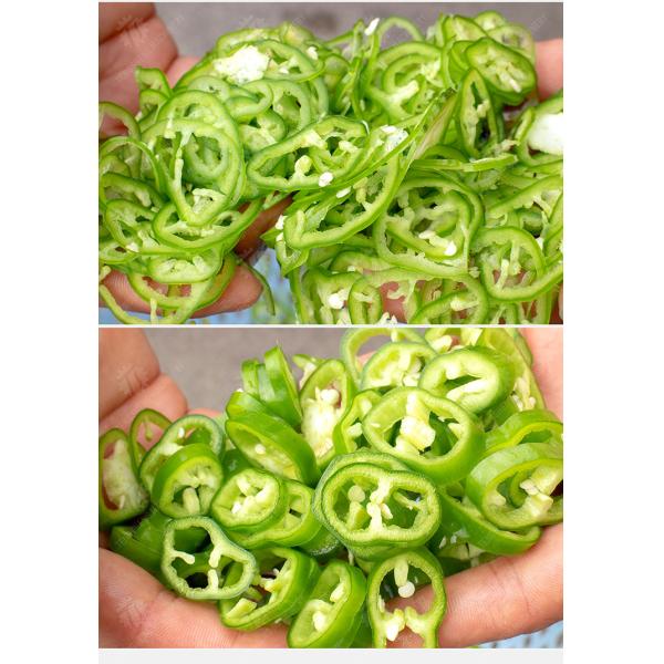 0.375KW Vegetable Processing Machine Desktop Leeks Cutter