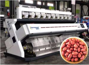 Precise Rejection Peanut Sorting Equipment , 640 Channels 5t/h Kernel Sorting Machine