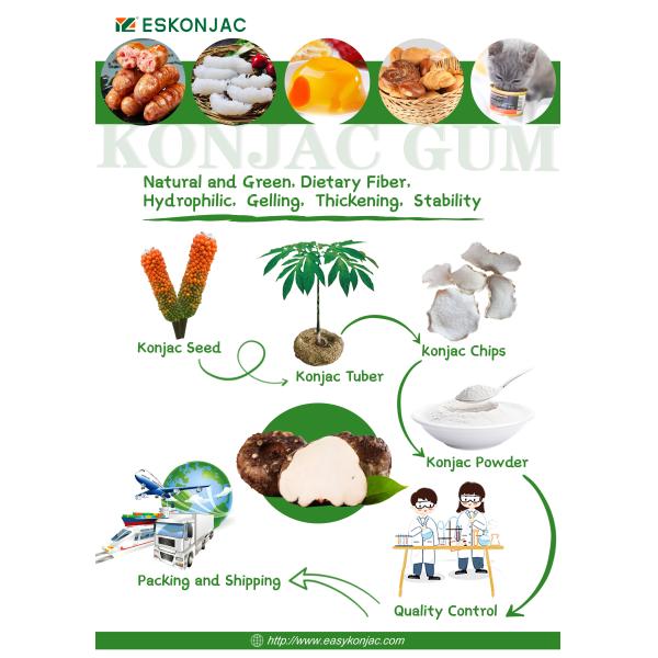 95% Glucomannan Konjac Fibre Extract Natural Konjac Root Powder For Cooking