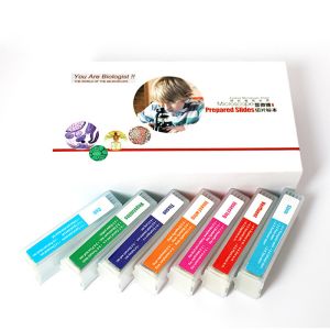 Biology Specimens Prepared Microscope Slides Set 35pcs
