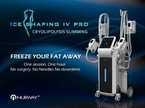 Cryolipolysis Fat Freeze Slimming For Fat Reduce For Beauty Spa & Center