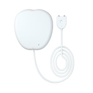 Smart Home For Amazon Alexa Google Home App Remote Control Voice Commands Smart Wifi Wireless Water Leakage Sensor