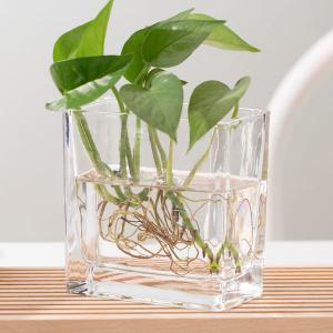 Quality Transparent 350ml Home Decoration Glass Pressed Small Rectangle Glass Vase wholesale