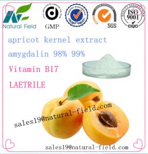 China direct manufacturer bitter apricot seed amygdalin powder vitamin b17 on sale