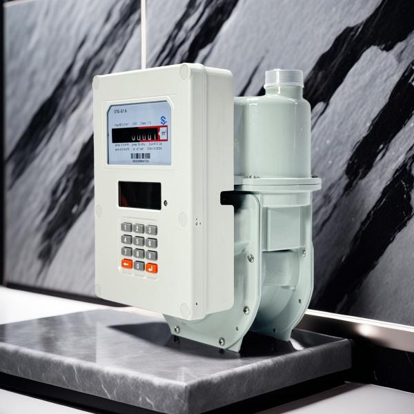 Cheap LAN / WAN Prepaid Gas Meter with Self-routering Meshwork Connection Type PLC To Concentrator for sale