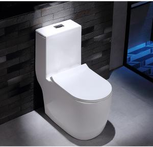 Quality Dual Flush Washdown Siphonic One Piece Toilet Models P Trap S Trap wholesale