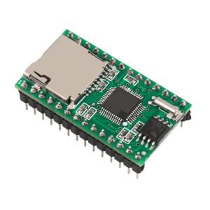 Quality RS232 Communication SD Card Module WT5001M02-28P With SPI Interface wholesale