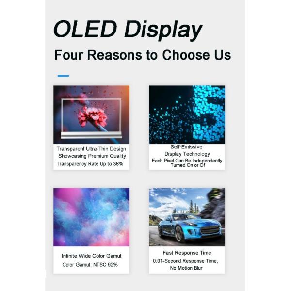 Intelligent Indoor Transparent OLED Display Vertical For Theaters Museum