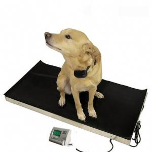 Quality LED 60kg Precision Animal Digital Weight Scale wholesale