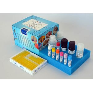 Quality Methyltestosterone ELISA Test Kit Rapid Detect Competitive Enzyme Immunoassay wholesale