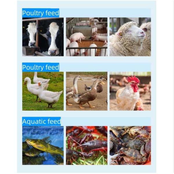 EWPM230B 15HP Feed Pellet Maker Machine Animal Feed Color Customization