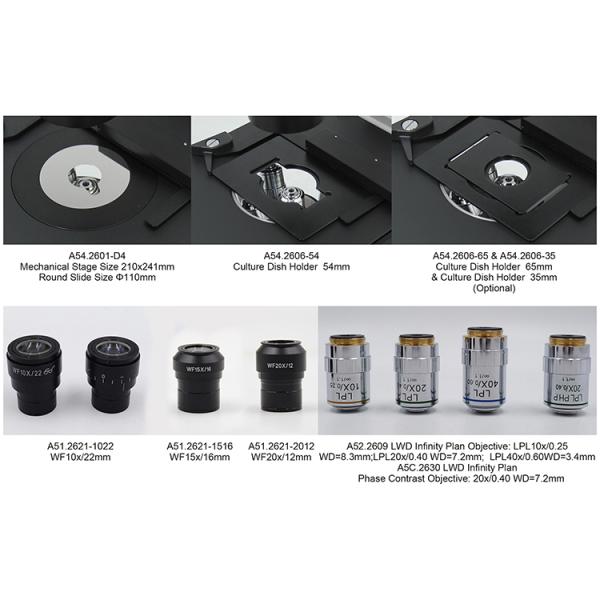 Optical Laboratory Inverted Microscope