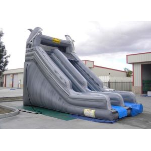 Double Slide Way Commercial Inflatable Slide Gray PVC Outside