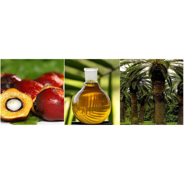 Extracting Palm Oil 3 Phase Tricanter Centrifuge For Corn Oil In Processing Machine Line