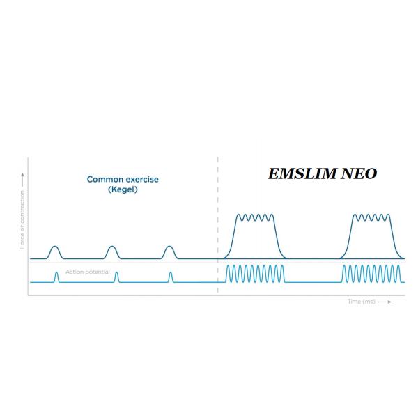 Hip Muscle Contraction ED Therapy Machine With TFT Touch Screen