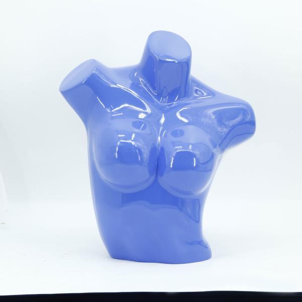 Fashion Transparent Mannequin With Headless Mannequin And Half Mannequins