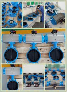 China Pneumatic Butterfly Valve Actuator on sale