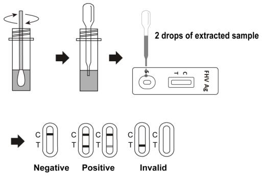 High Accuracy FHV Cat Test Kits Feline Herpes Virus Antigen Test Eye Secretion