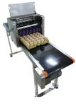Eggs Continuous Inkjet Printer With Date Automatically Updated Programme