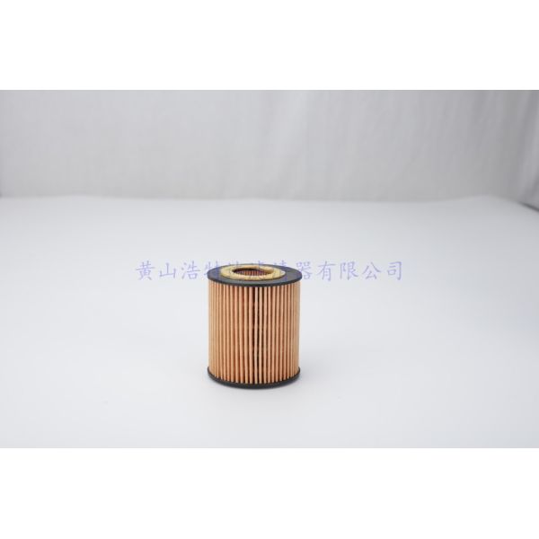 OEM 6C1Q-6744-AA Oil Filter Replacement Safe And Realiable For Automobile