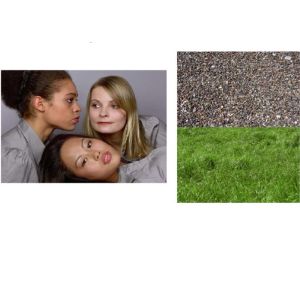 SineImage Digital Image Resolution Chart Reflective Digital Cameras / Lenses