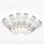1.25ml×6 Ready To Use 10× PCR Buffer With Mg2+ Set P5011b