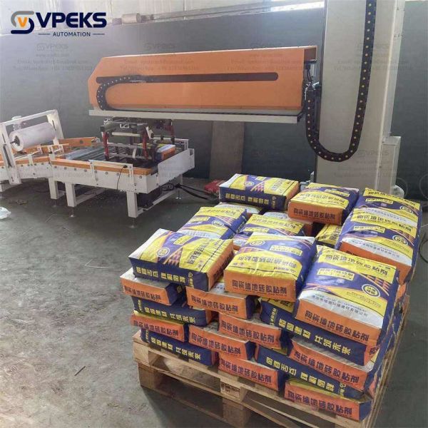 Schneider Electric Automatic Low Level Palletizer Machine VPK-ZB50 With AIRTAC/SNS Air Cylinder