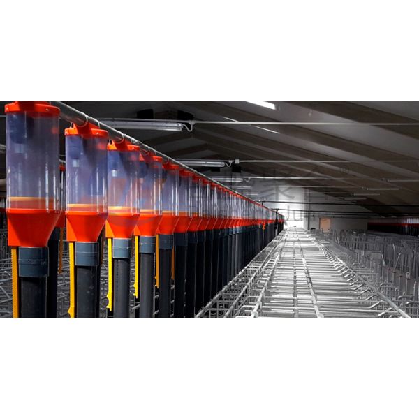 Farrowing Crate Steel Structure for Modern Farm Pig House Shed Hog Cote Winery Pigsty