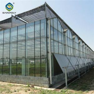 Buy cheap Custom Dutch Venlo Greenhouse Modern Farms Greenhouse With Intelligent Control from wholesalers